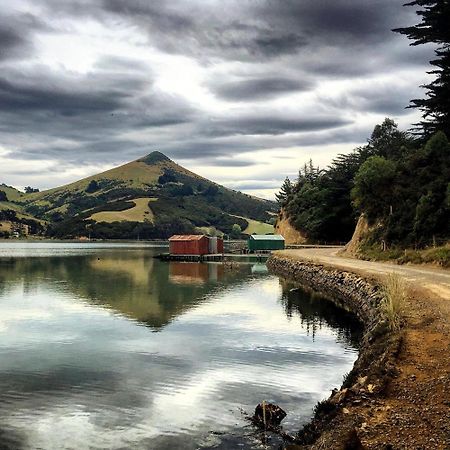 Otago Peninsula Paradise Dunedin Exterior photo