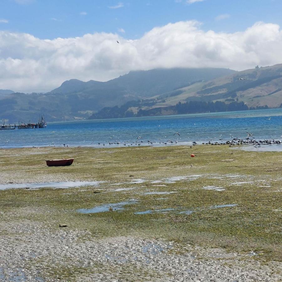 Otago Peninsula Paradise Dunedin Exterior photo