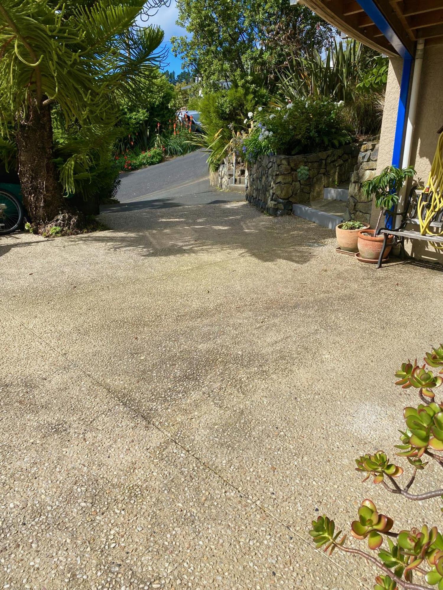 Otago Peninsula Paradise Dunedin Exterior photo